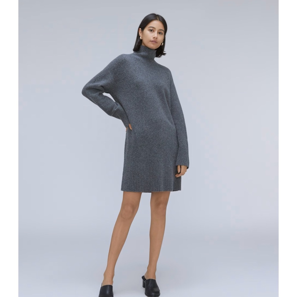NWT Everlane The Cozy Stretch Turtleneck Dress